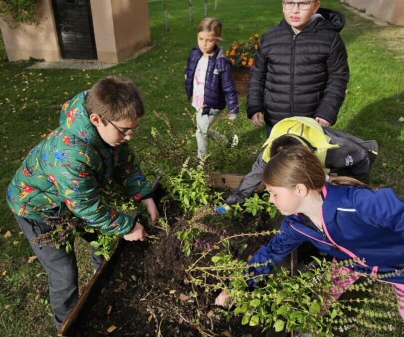 Vrijedne ruke u školskom vrtu!